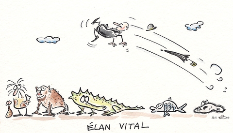 bergson - yaşam atılımı.jpg